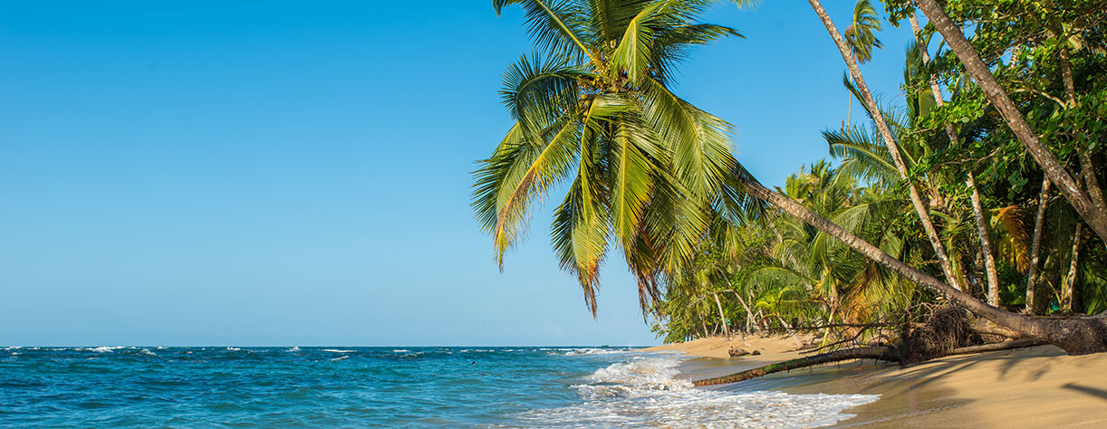 Beautiful beach with palm tree in Costa Rica