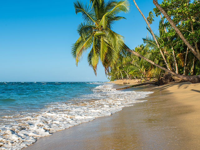 Beautiful beach with palm tree in Costa Rica