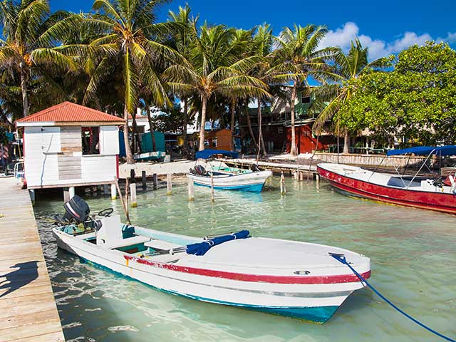 Belize city, palm trees, yachts, Belize