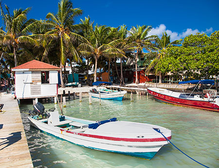 Belize city, palm trees, yachts, Belize