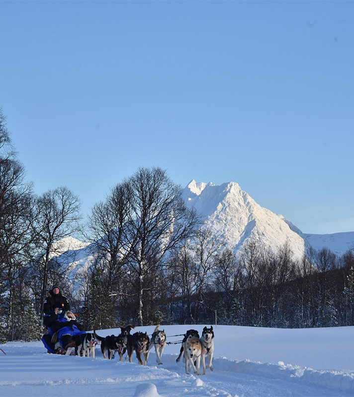 Dog sledding in Tromso, Norway Dog sledding in Tromso, Norway