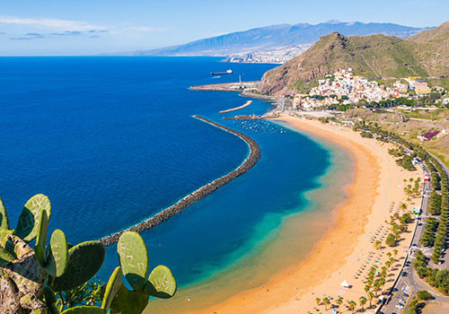 Canaries Canaries