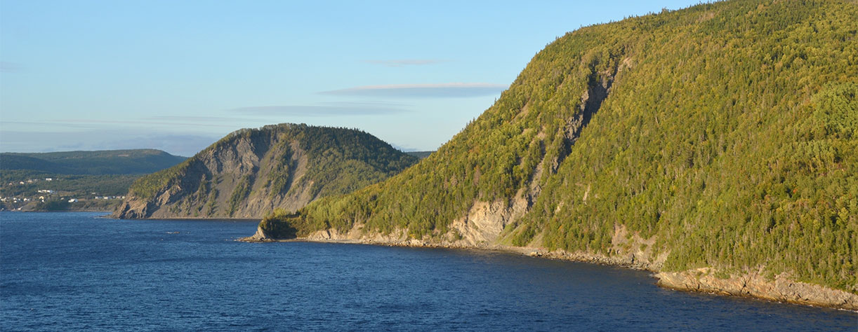 View from the sea towards the Humber Arm shoreline, Canada