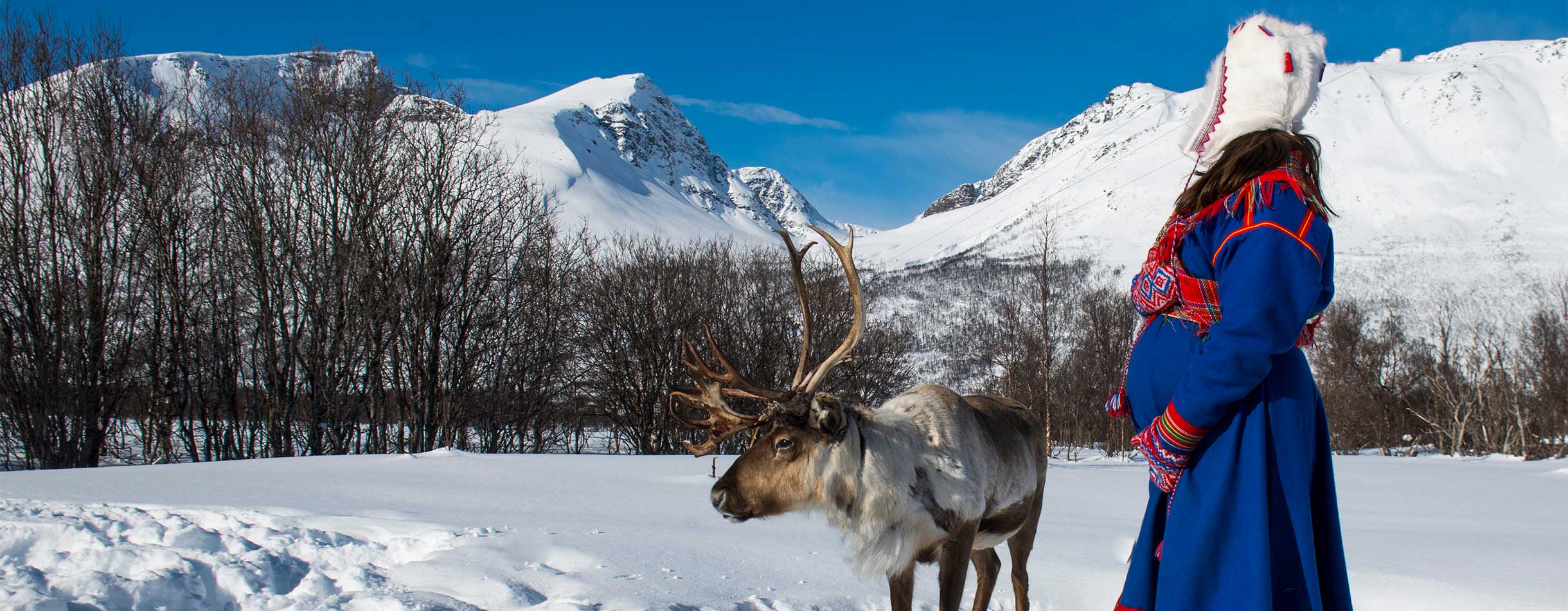 Traditional Sami with Reindeer, Norway