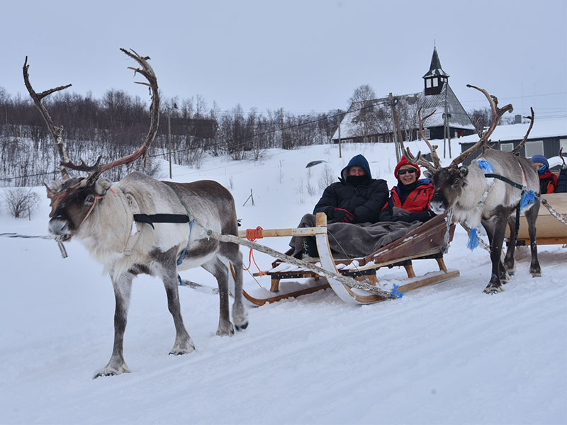 Reindeer sledding in Norway
