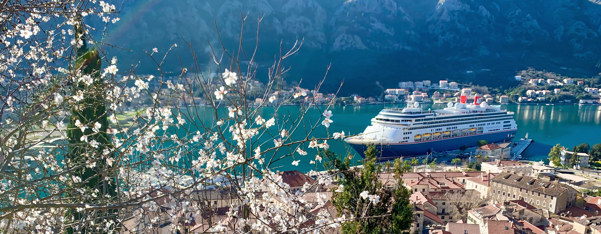 Bolette, Kotor with blossom tree, Croatia 