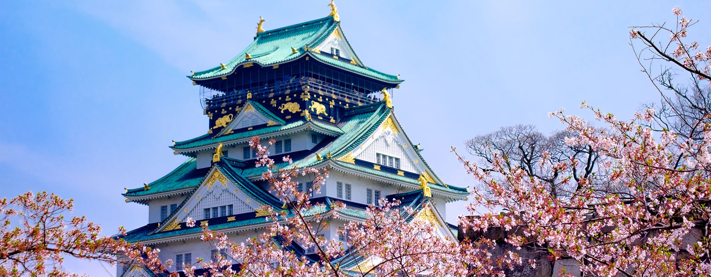 Osaka Castle in Cherry Blossom, Osaka, Japan