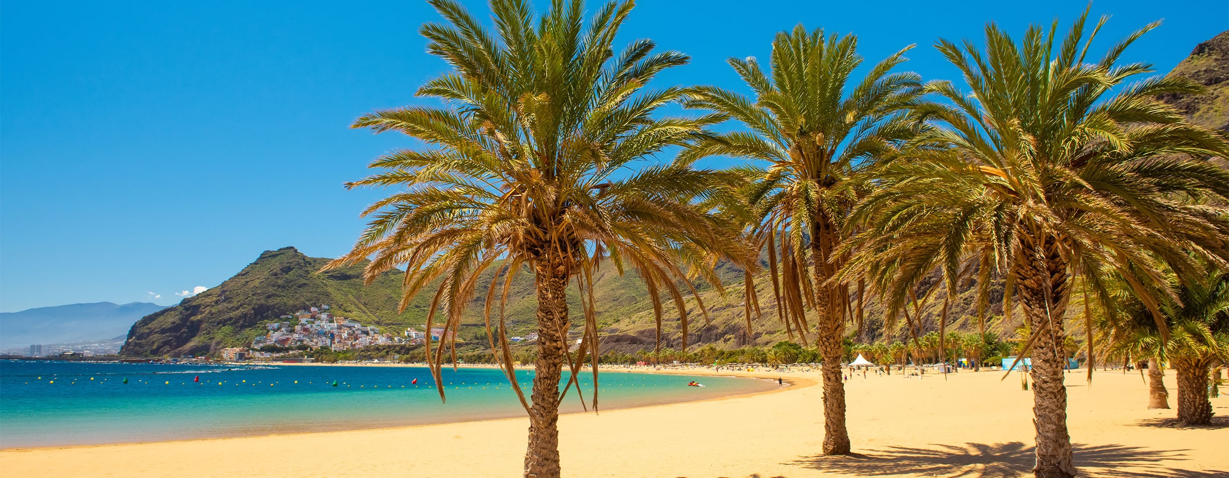 Beautiful beach with palm trees, Canary Islands