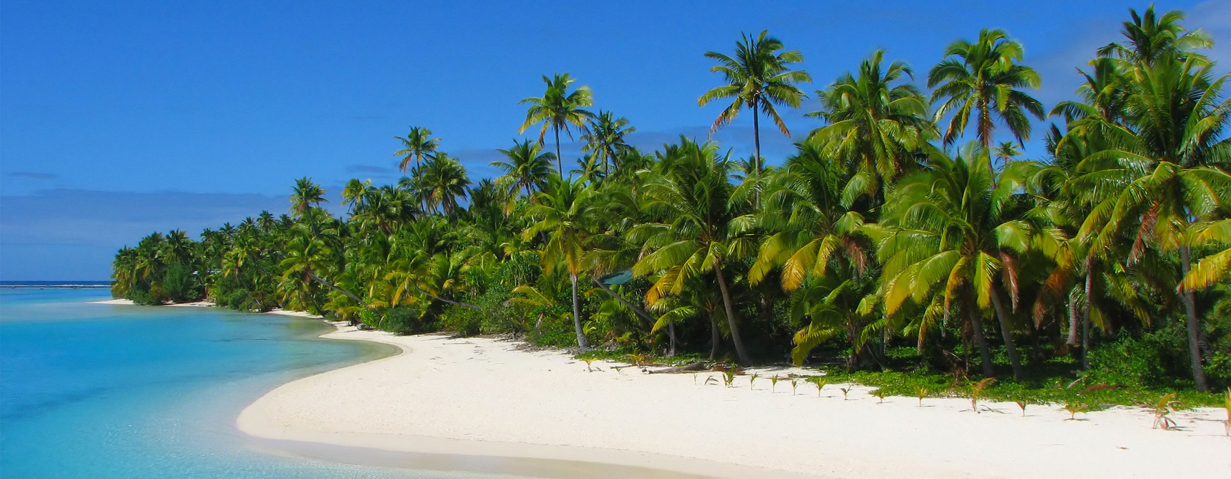 Stunning white sandy beach and lush green palms trees, Rarotonga, Cook Islands