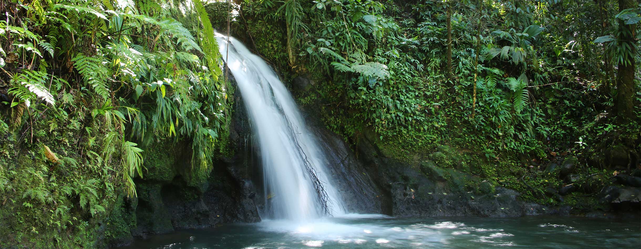 Crayfish Waterfall or La Cascade aux Ecrevisses, Guadeloupe National Park, Guadeloupe