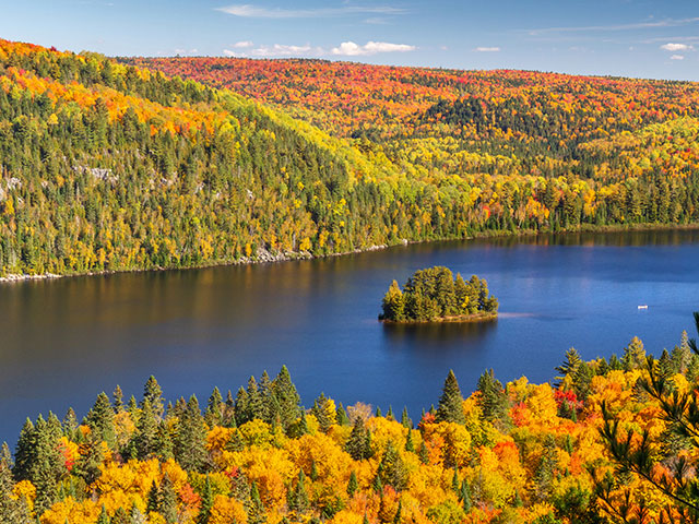 Pines Island in Fall, La Maurice National Park, Quebec, Canada