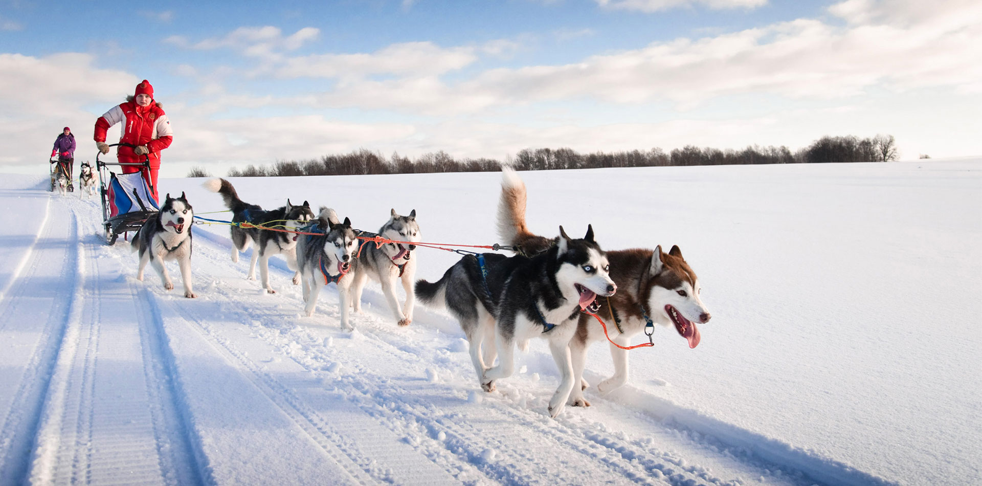 Dog sledding in Tromso, Norway