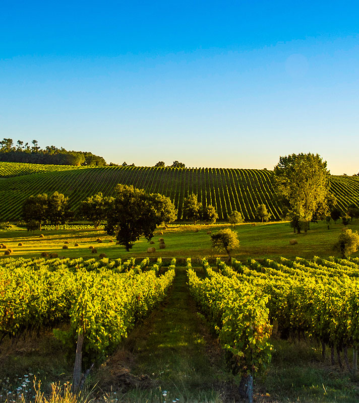France with Bordeaux & the River Seine