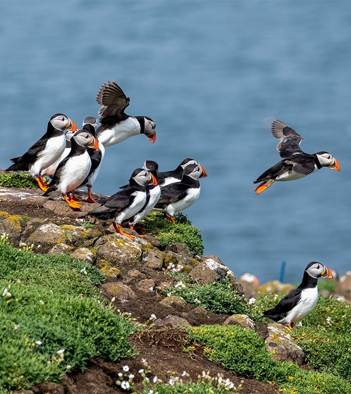Remote Isles of Scotland