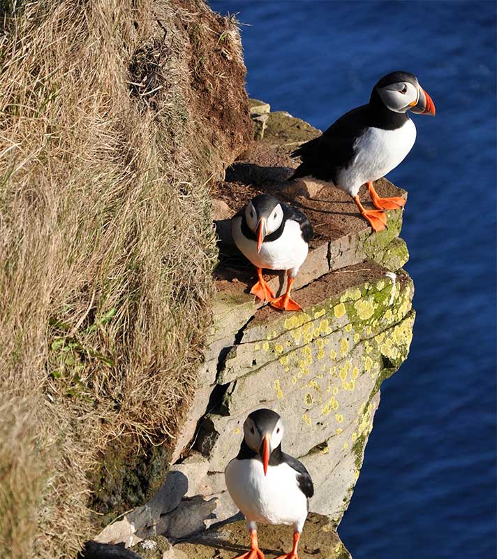 Remote Isles of Scotland