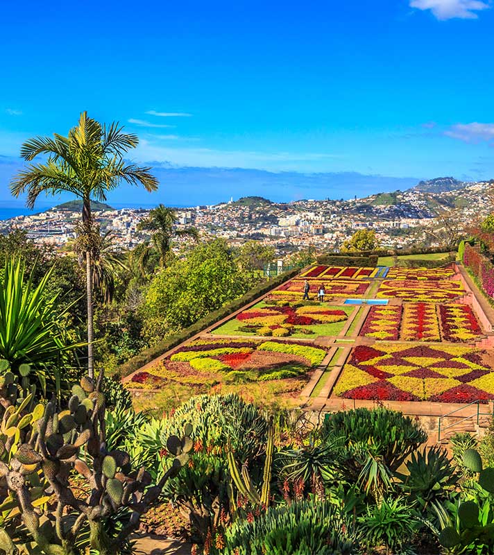Autumn Warmth in the Canary Islands