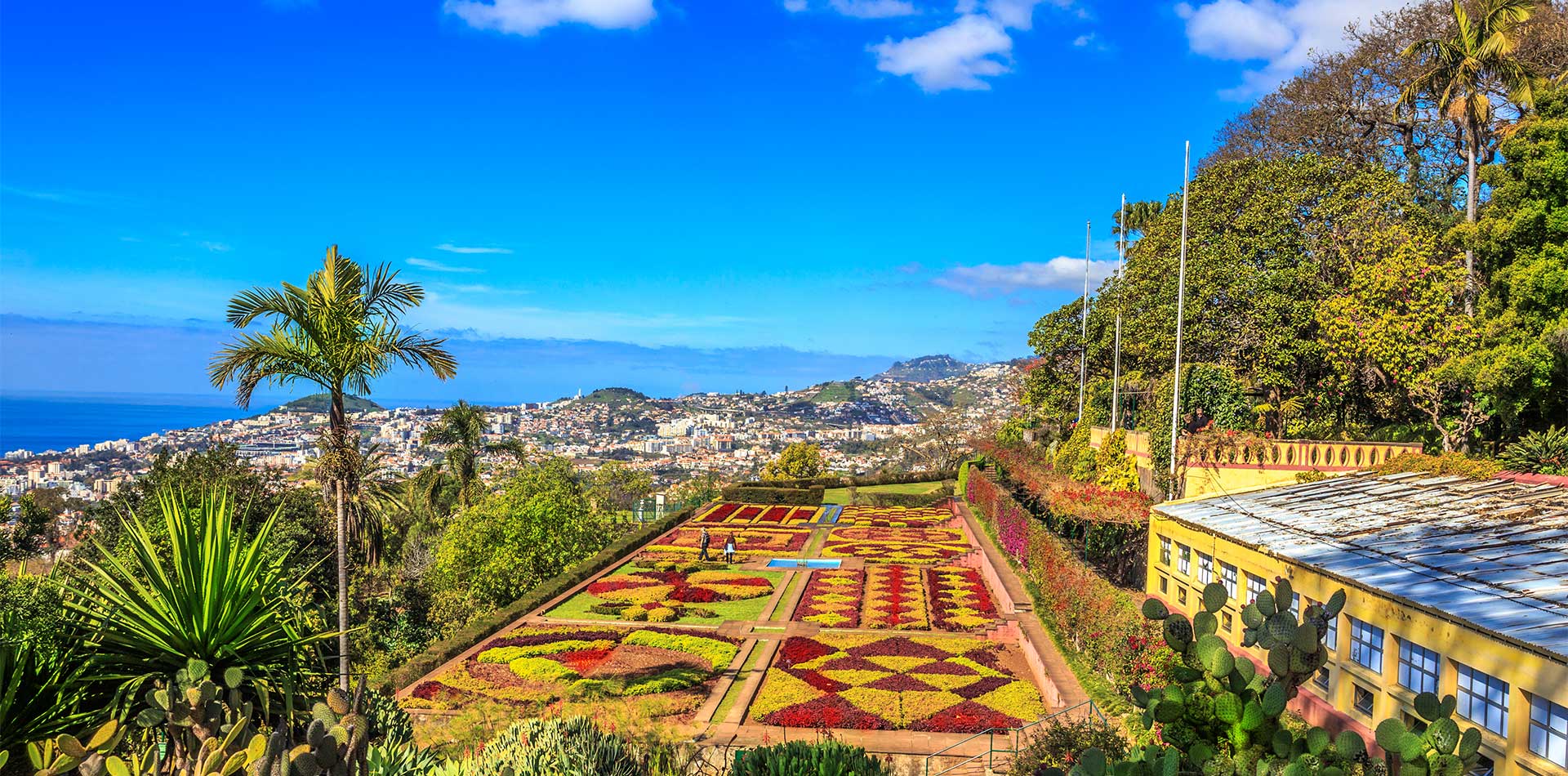 Tropical gardens in Funchal, Madeira