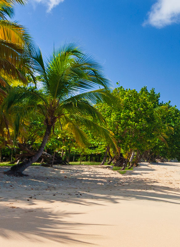 Beautiful beach views in Grenada, Caribbean