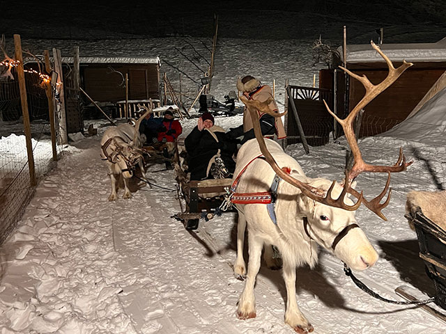 Reindeer sledding on our evening with the Sami tour, Norway