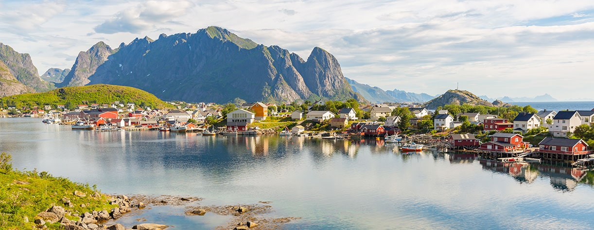 Norwegian landscape with Nordfjord fjord, mountains, flowers in Lofoten island, Norway