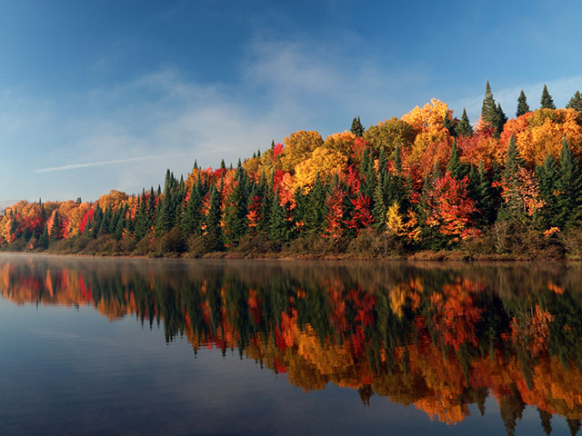 Parc national Mont Tremblant. Quebec. Autumn in Canada