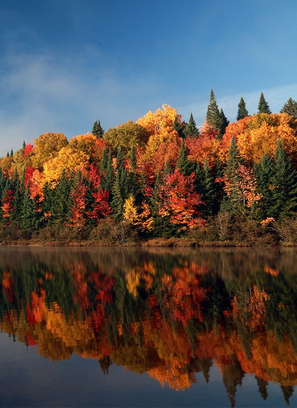 Parc national Mont Tremblant. Quebec. Autumn in Canada