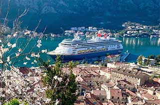 Bolette in Kotor