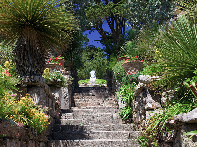 Tresco Abbey Gardens,  Isles of Scilly, England