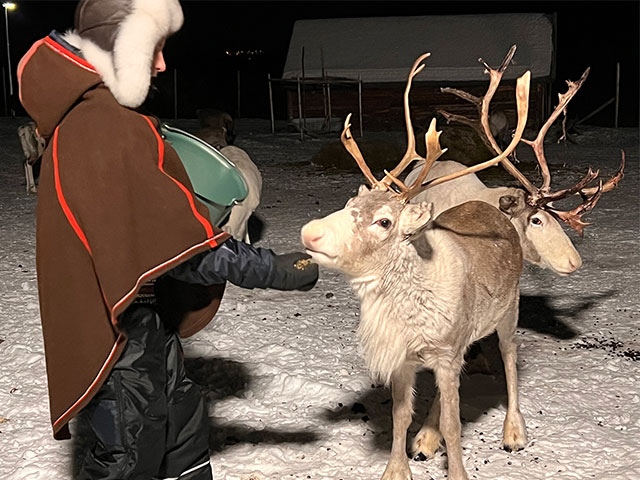 Sami and Reindeer, Alta, Norway
