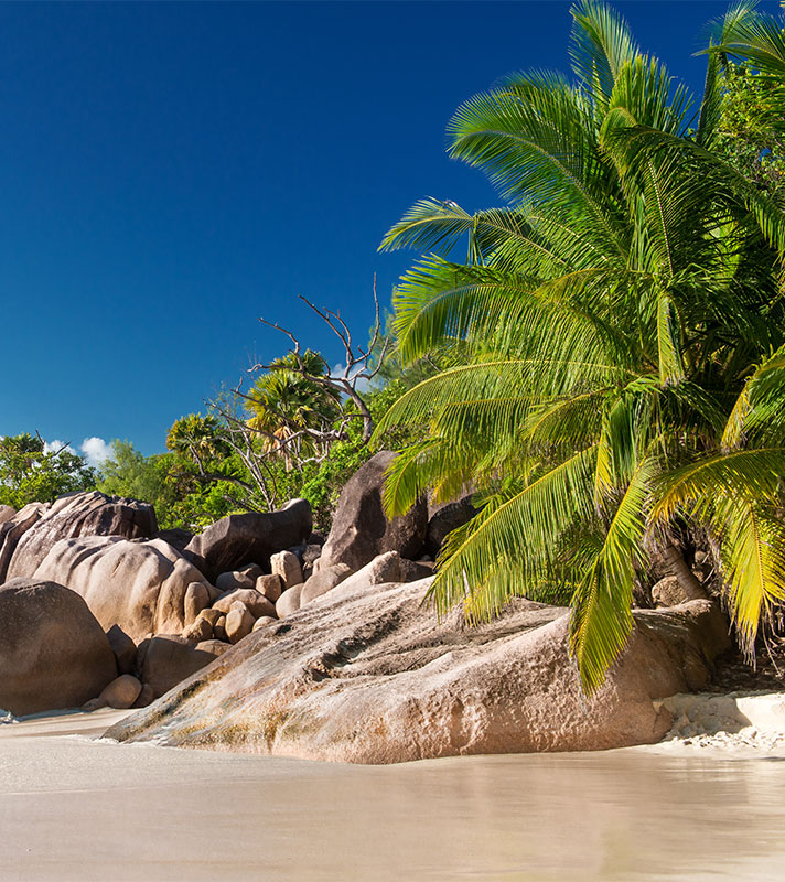Beautiful beach on Praslin Island, Seychelles Beautiful beach on Praslin Island, Seychelles