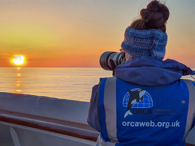Orca conservationist taking a picture of a sunset from deck