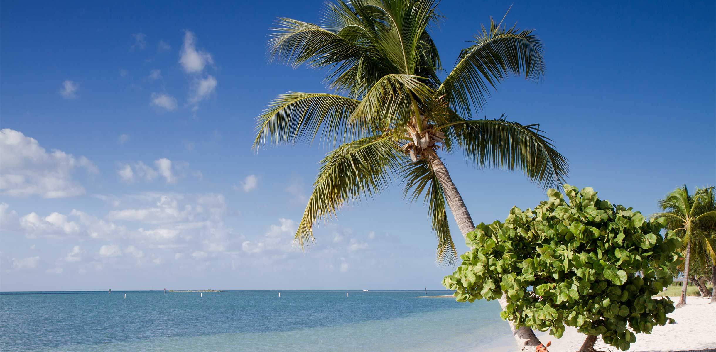 Sombrero Beach with palm trees on the Florida Keys, USA Sombrero Beach with palm trees on the Florida Keys, USA