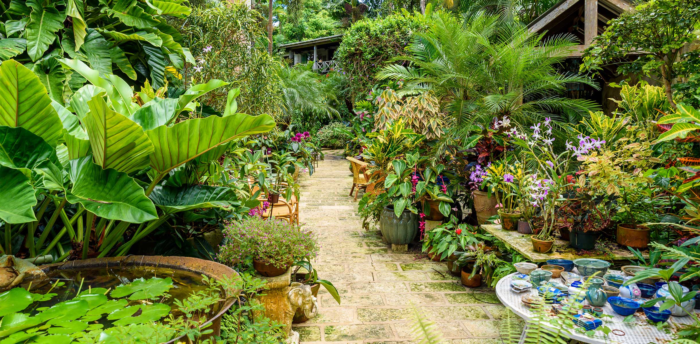 Hunte´s Botanical Garden, Barbados