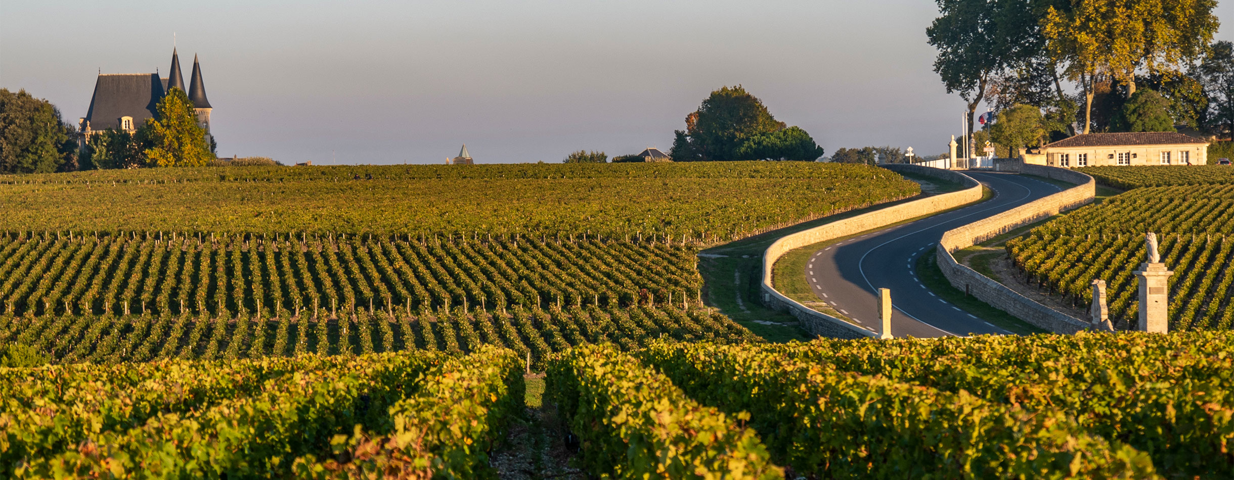 Route des Chateaux, Vineyard in Medoc, wine estate of Bordeaux wine, France