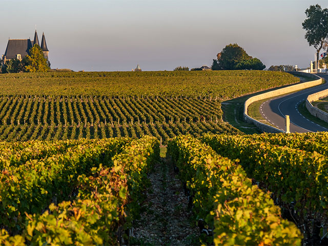 Route des Chateaux, Vineyard in Medoc, amous wine estate of Bordeaux wine, France