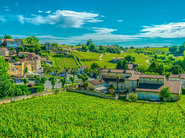 Saint Emillion, Vineyards in France