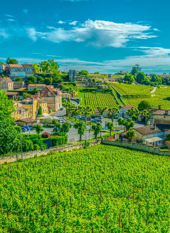 Saint Emillion, Vineyards in France