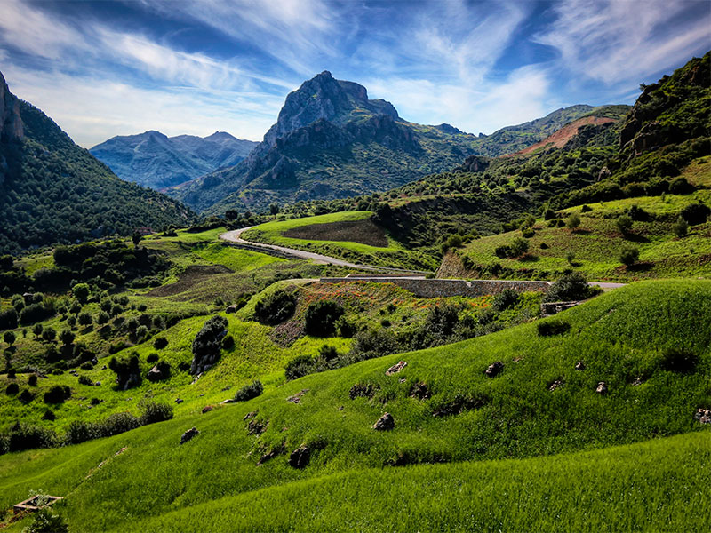 fred olsen morocco cruise