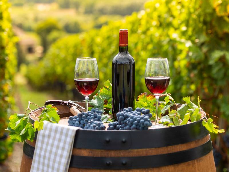 Wine Tasting in  Bordeaux