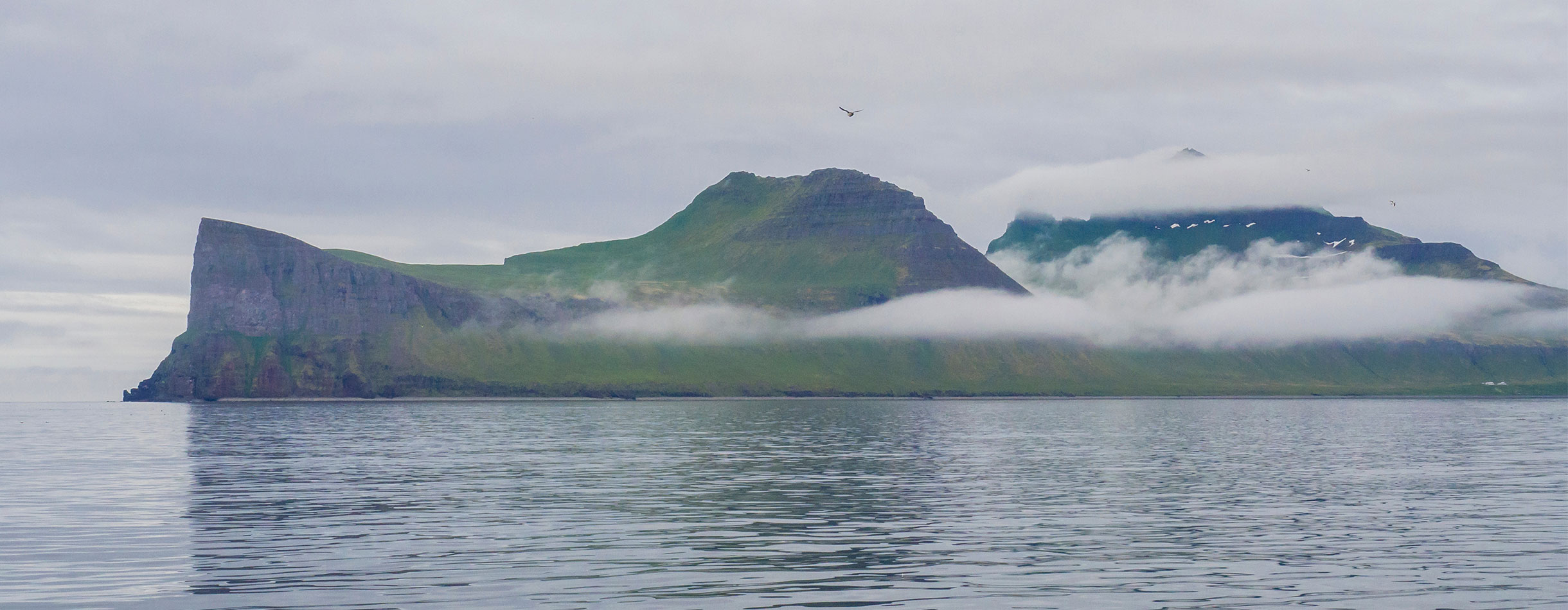 Cruise to Hornbjarg, Norway