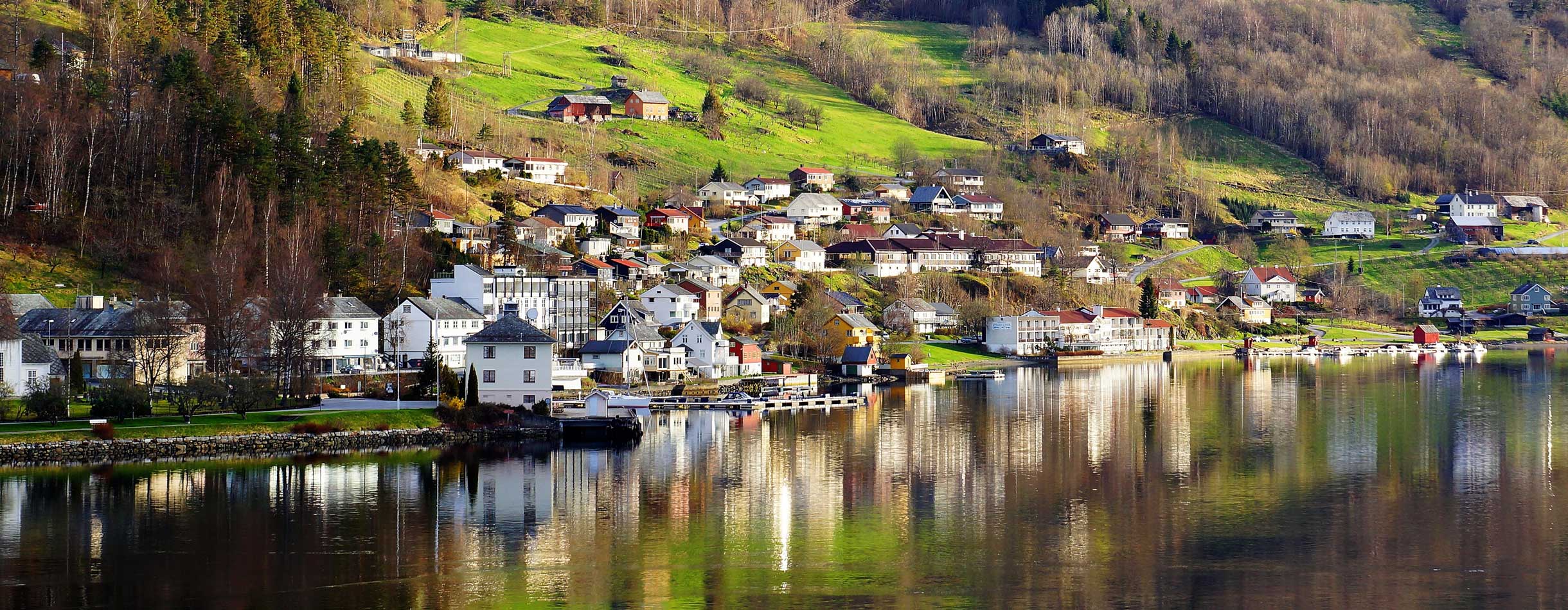 Cruise to Ulvik