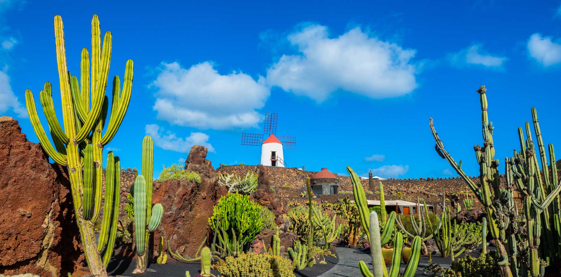 Cactus garden in Lanzarote, Canary Islands, Spain