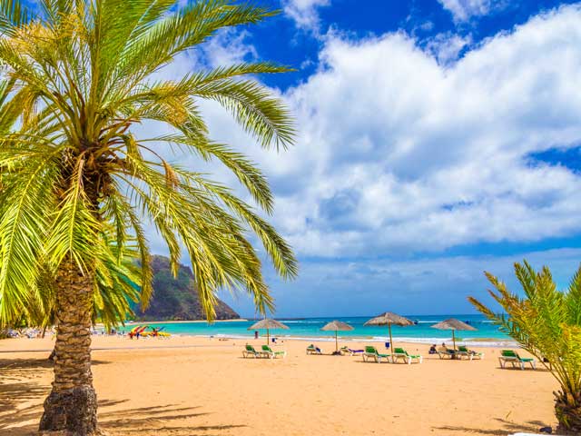 Sandy beach in Tenerife