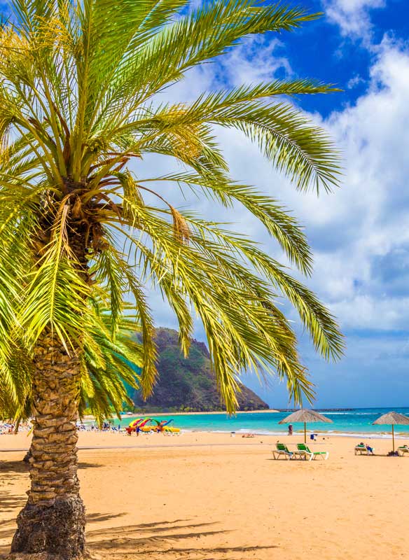 Sandy beach in Tenerife