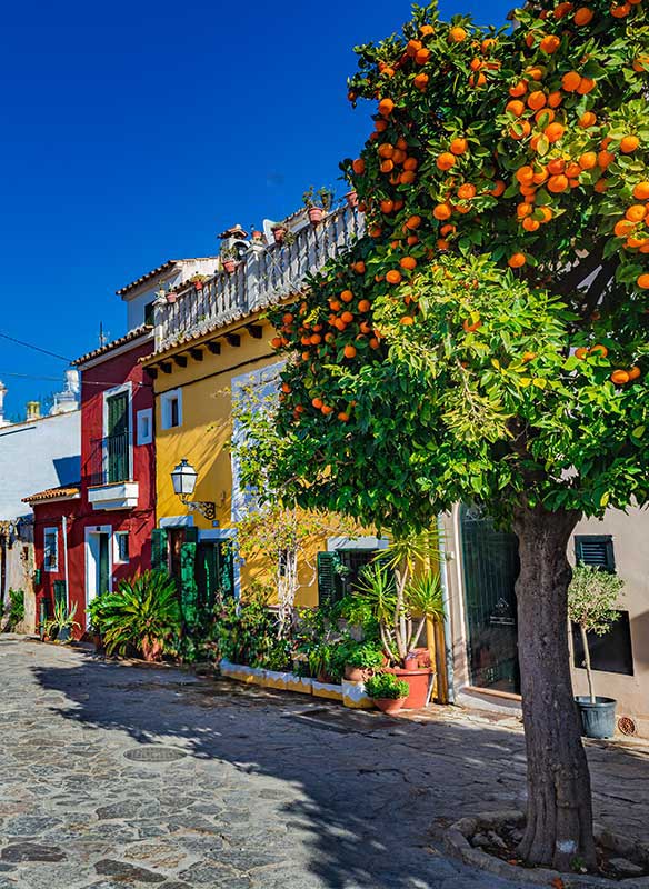 Spain, Palma de Mallorca, view of colorful houses in city center