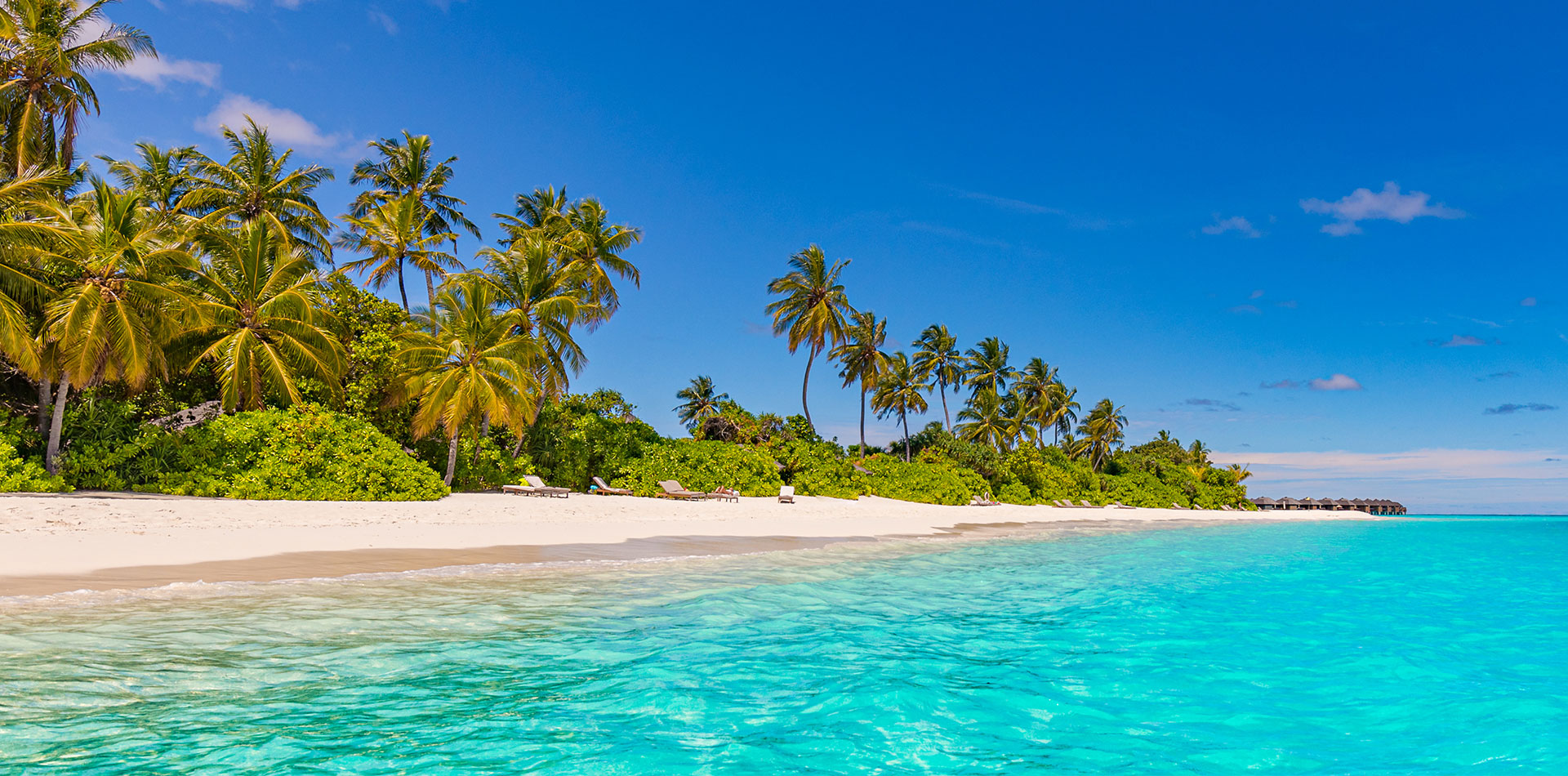 Beautiful blue skies and palm trees on a Caribbean beach