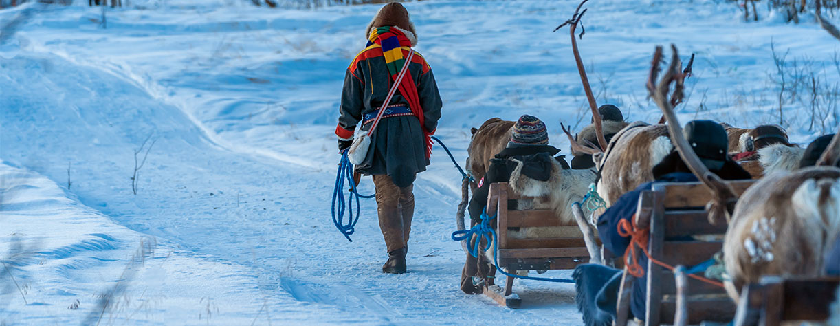 Sami leading his reindeer, Norway, Winter