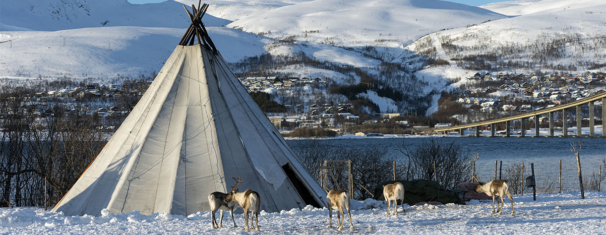 Traditional Sami reindeer-skin lavuu tents, Norway