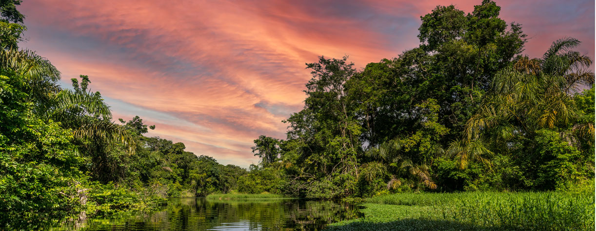Tortuguero National Park, Costa Rica
