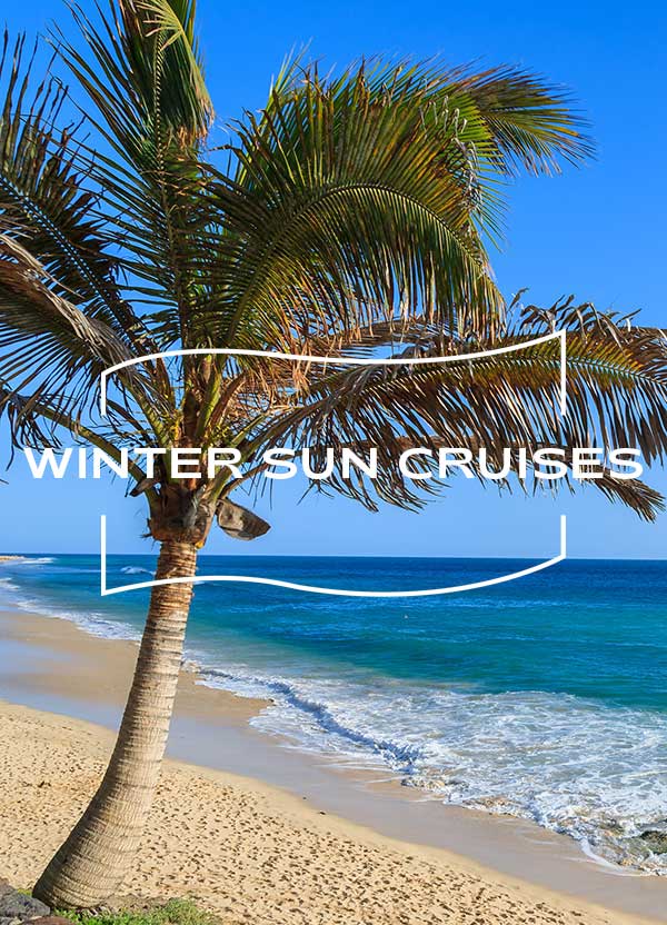 Palm tree on a sandy beach with clear blue sea